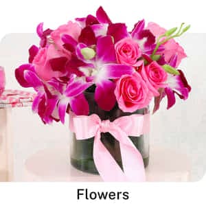 Gift